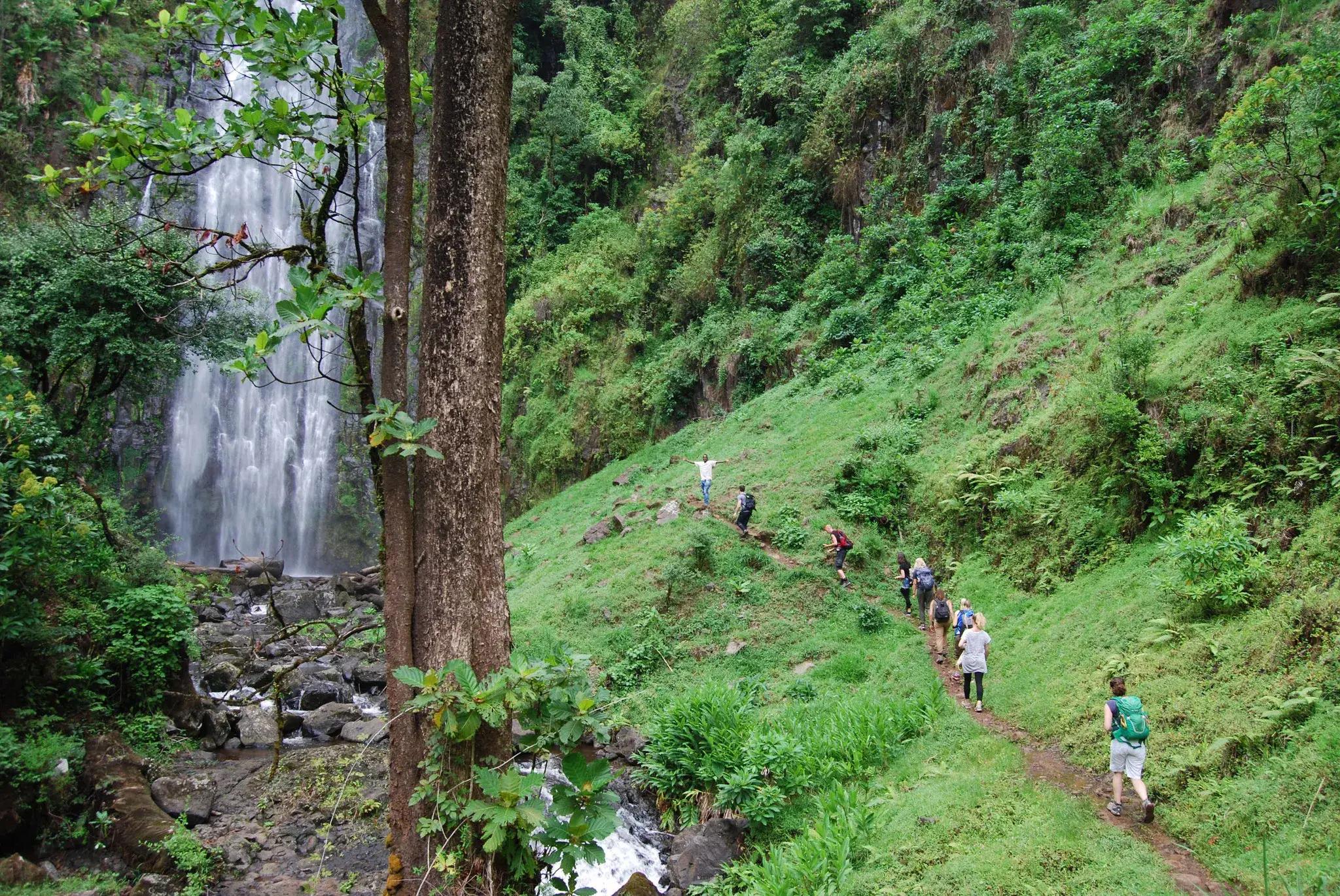 Materuni Waterfalls & Coffee Tour